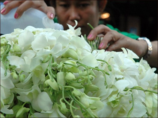 _flowermarket3.jpg