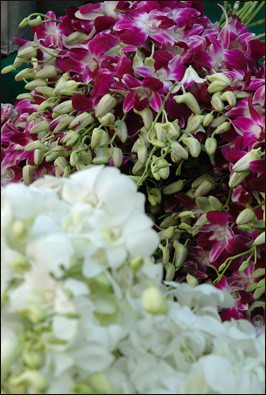 _flowermarket4.jpg