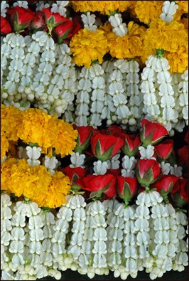 flowermarket11.jpg