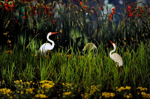 Hơi thở làng quê ở phố hoa Hà Nội ảnh 9 Hơi thở làng quê ở phố hoa Hà Nội ảnh 9