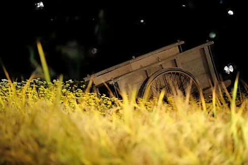 Hơi thở làng quê ở phố hoa Hà Nội ảnh 8 Hơi thở làng quê ở phố hoa Hà Nội ảnh 8