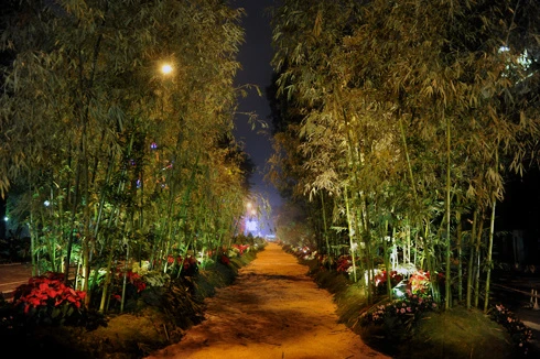 Hơi thở làng quê ở phố hoa Hà Nội ảnh 7 Hơi thở làng quê ở phố hoa Hà Nội ảnh 7