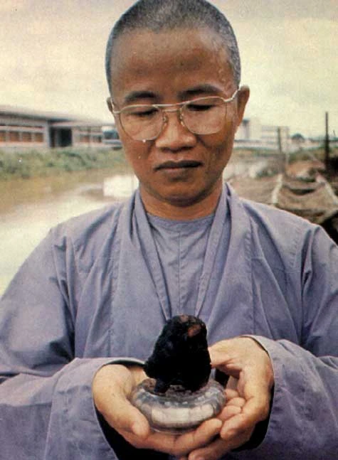 Cố hòa thượng Thích Huyền Quang và trái tim bất hoại của thiền sư Thích Quảng Đức (Ảnh chụp lại tại chùa Quán Thế Âm).