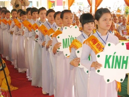 TV-KM (11).JPG