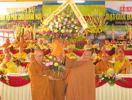 TV-KM (12).JPG