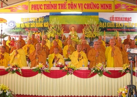 TV-KM (24).JPG