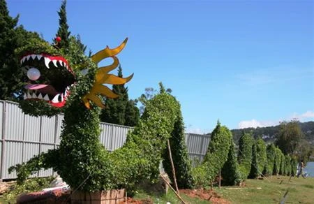 6 a .jpg