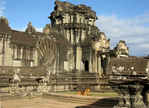Cụm đền Angkor Wat vào buổi sớm mai. Rất nhiều du khách sẵn sàng thức dậy từ 5h sáng để kịp có mặt ngắm bình minh lên. Dù lượng khách du lịch tới Angkor rất lớn nhưng khu di tích này vẫn giữ được những nét bình yên. Bạn có nhiều lựa chọn để đi khám phá nơi đây, bằng xe đạp, thuê tuk tuk, cưỡi voi và cả bay trên khinh khí cầu. Những nụ cười bí ẩn của tượng đá khổng lồ ở đền Bayon. Những bức tượng trên đường dẫn vào Angkor Thom. Không chỉ nổi tiếng về mức độ hoành tráng, các công trình ở Angkor còn rất tinh xảo trong các đường nét chạm trổ. Không khó hiểu khi có nhiều người dành vài ngày hoặc cả tuần chỉ để thăm quan di sản văn hóa thế giới này. Không chỉ có những đền chính, nếu có thời gian bạn nên tới những đền nhỏ. Màu xanh của cây cối càng làm nổi bật thêm nét đẹp huyền bí của Angkor. Nhìn những khối đổ nát cũng đủ biết quy mô của công trình trước đây. Những rễ cây khổng lồ bao trùm lấy các bức tường, khu nhà.