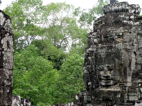 Cụm đền Angkor Wat vào buổi sớm mai. Rất nhiều du khách sẵn sàng thức dậy từ 5h sáng để kịp có mặt ngắm bình minh lên. Dù lượng khách du lịch tới Angkor rất lớn nhưng khu di tích này vẫn giữ được những nét bình yên. Bạn có nhiều lựa chọn để đi khám phá nơi đây, bằng xe đạp, thuê tuk tuk, cưỡi voi và cả bay trên khinh khí cầu. Những nụ cười bí ẩn của tượng đá khổng lồ ở đền Bayon. Những bức tượng trên đường dẫn vào Angkor Thom. Không chỉ nổi tiếng về mức độ hoành tráng, các công trình ở Angkor còn rất tinh xảo trong các đường nét chạm trổ. Không khó hiểu khi có nhiều người dành vài ngày hoặc cả tuần chỉ để thăm quan di sản văn hóa thế giới này. Không chỉ có những đền chính, nếu có thời gian bạn nên tới những đền nhỏ. Màu xanh của cây cối càng làm nổi bật thêm nét đẹp huyền bí của Angkor. Nhìn những khối đổ nát cũng đủ biết quy mô của công trình trước đây. Những rễ cây khổng lồ bao trùm lấy các bức tường, khu nhà.