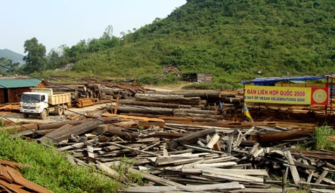 Dù chùa Bái Đính vẫn còn đang xây dựng với những công trình dang dở, song đã có hàng vạn du khách viếng thăm. Rất nhiều công trình vừa hoàn thiện đã đạt kỷ lục Việt Nam.