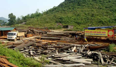 Dù chùa Bái Đính vẫn còn đang xây dựng với những công trình dang dở, song đã có hàng vạn du khách viếng thăm. Rất nhiều công trình vừa hoàn thiện đã đạt kỷ lục Việt Nam.