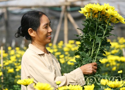 Niềm vui Xuân của những người dân làng hoa Tây Tựu Niềm vui Xuân của những người dân làng hoa Tây Tựu