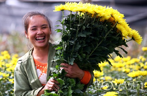 Niềm vui Xuân của những người dân làng hoa Tây Tựu Niềm vui Xuân của những người dân làng hoa Tây Tựu