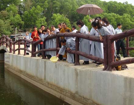 hanhhuong-1.jpg