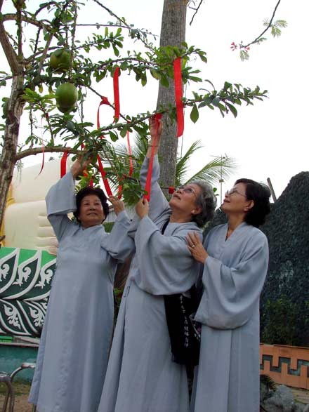 hanhhuong-9.jpg
