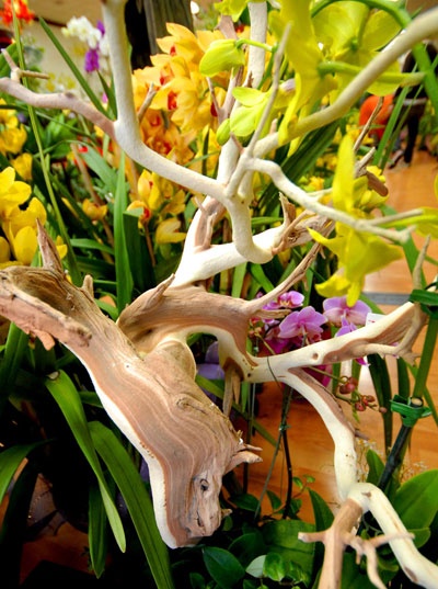 Little Sài Gòn rộn rã vào Xuân ảnh 8