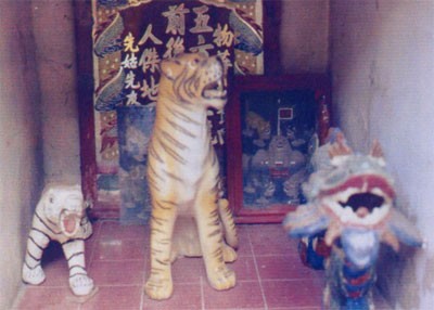 Cọp trong tâm thức người dân Nam bộ ảnh 2