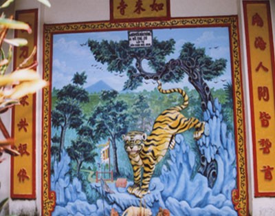 Cọp trong tâm thức người dân Nam bộ ảnh 3