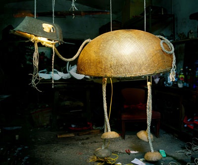 “Trâu Nguyên” tiễn trâu, đón hổ... ảnh 6