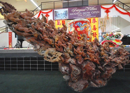 Cali vào xuân Việt ảnh 3