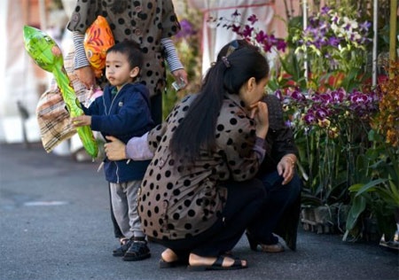 Dì của John Lương vừa giữ cậu bé vừa ngắm hoa lan để mua.
