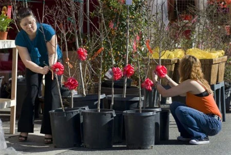 Hai mẹ con bà Quỳnh Nguyễn thắt nơ cho cây cảnh họ bán ở hội chợ.