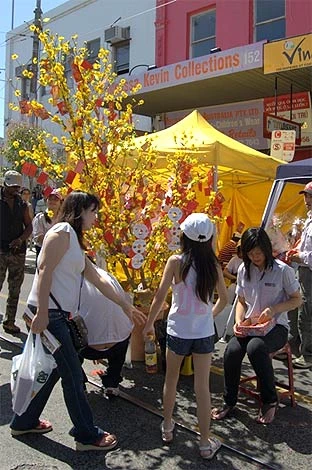 Mai vàng 