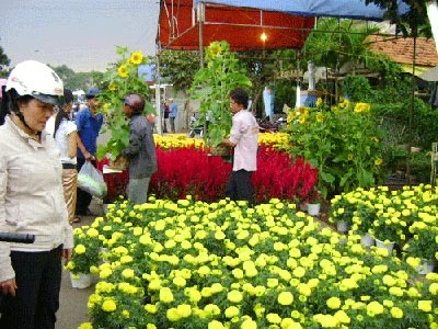 Ngày cuối năm ảnh 1