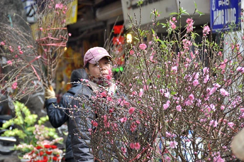 Xuân về rộn ràng trên phố