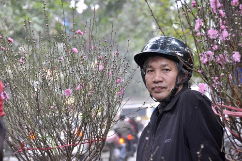 Xuân về rộn ràng trên phố