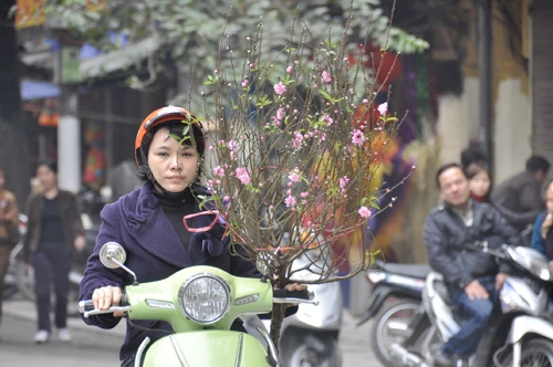 Xuân về rộn ràng trên phố