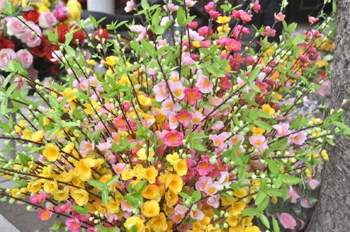 Xuân về rộn ràng trên phố