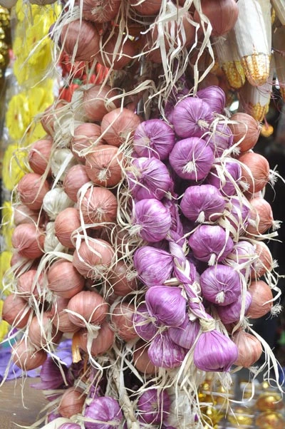 Xuân về rộn ràng trên phố