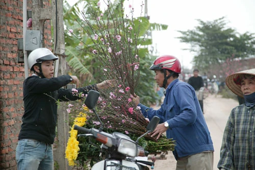 Hoa cười - người lo ảnh 4