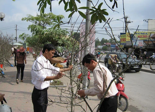 Hoa cười - người lo ảnh 7