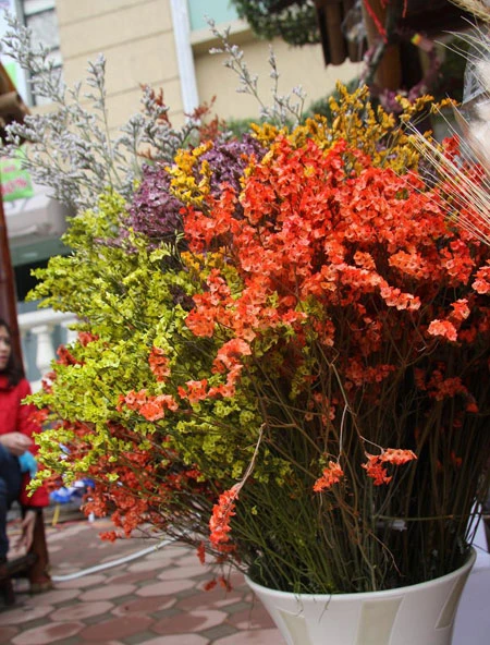 Chợ quê ở phố “tây” ảnh 14