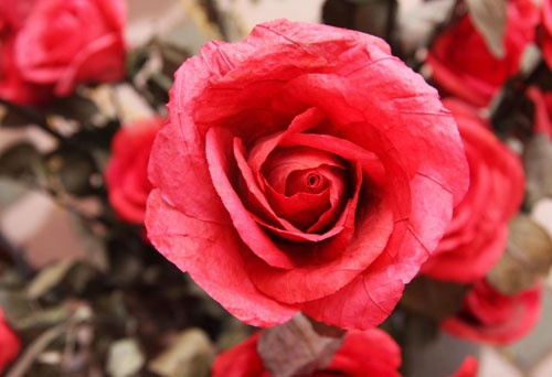 Chợ quê ở phố “tây” ảnh 15