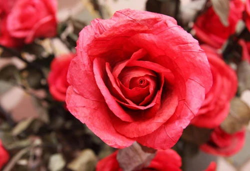 Chợ quê ở phố “tây” ảnh 15