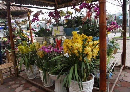 Chợ quê ở phố “tây” ảnh 16