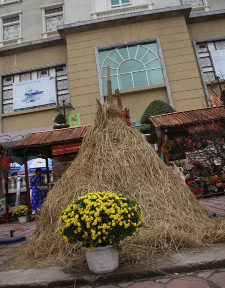 Chợ quê ở phố “tây” ảnh 2