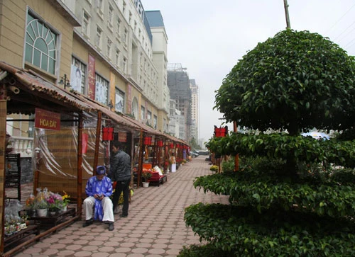 Chợ quê ở phố “tây” ảnh 7