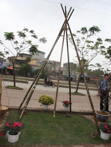 Chợ quê ở phố “tây” ảnh 8