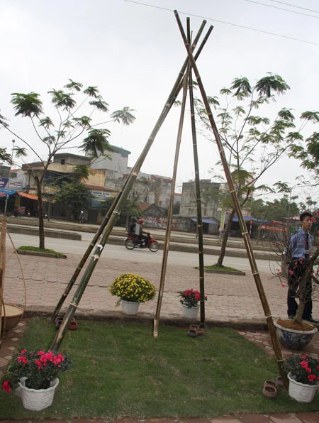 Chợ quê ở phố “tây” ảnh 8