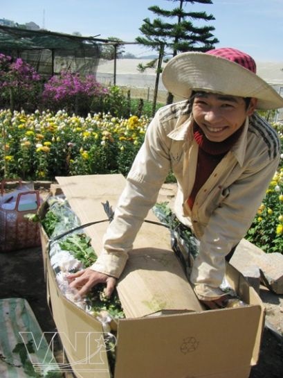 Chùm ảnh: Làng hoa Thái Phiên - Đà Lạt ảnh 6