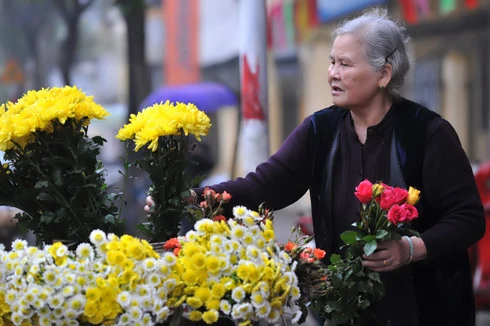 Hoa xuân tràn phố phường Hà Nội ảnh 12