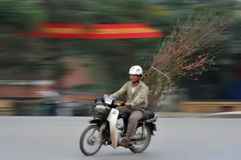 Chưa đầy 2 tuần nữa đến Tết nguyên đán Canh Dần, trên đường phố Hà Nội bắt đầu nườm nượp đào quất trên những chiếc xe máy. Không khí khẩn trương, chuẩn bị cho một mùa xuân ấm áp. Đào trên đường về nhà. Những cô gái chở đào làm cho không khí xuân càng thêm rộn rã. Gánh hàng hoa rong giờ đã có thêm cành đào hồng rực. Một cây quất vừa được chở đến tận nơi, phố Hàng Bồ. Những cành đào rừng được chở từ miền núi về bày bán trên đường Âu Cơ. Một cửa hàng hoa đang chuẩn bị những cây mai đỏ, loài hoa lần đầu có mặt tại Hà Nội. Anh Hải, giảng viên trường ĐH Thủy Lợi, mua chậu mai đỏ giá 300 nghìn đồng về chơi Tết. Bà cụ Hương ở phố Quán Thánh chọn mua những bông hoa trước cửa nhà.