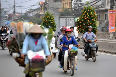Chưa đầy 2 tuần nữa đến Tết nguyên đán Canh Dần, trên đường phố Hà Nội bắt đầu nườm nượp đào quất trên những chiếc xe máy. Không khí khẩn trương, chuẩn bị cho một mùa xuân ấm áp. Đào trên đường về nhà. Những cô gái chở đào làm cho không khí xuân càng thêm rộn rã. Gánh hàng hoa rong giờ đã có thêm cành đào hồng rực. Một cây quất vừa được chở đến tận nơi, phố Hàng Bồ. Những cành đào rừng được chở từ miền núi về bày bán trên đường Âu Cơ. Một cửa hàng hoa đang chuẩn bị những cây mai đỏ, loài hoa lần đầu có mặt tại Hà Nội. Anh Hải, giảng viên trường ĐH Thủy Lợi, mua chậu mai đỏ giá 300 nghìn đồng về chơi Tết. Bà cụ Hương ở phố Quán Thánh chọn mua những bông hoa trước cửa nhà.