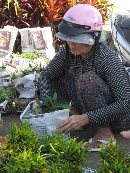 Dạo chơi làng hoa Tết ảnh 1