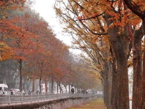 Đường phố Hà Nội mùa thu