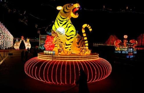 Trẻ em trong trang phục cọp tại một buổi biểu diễn đón Tết Canh Dần ở thành phố Bạc Châu, tỉnh An Huy (Trung Quốc). “Tiểu hổ” tên Sky trong vòng thi thể hiện sự nhanh nhẹn ở Giải Vô địch Mèo UFO 2010 tại Hồng Kông. Người bán trưng bày pháo hoa trong cửa tiệm ở thành phố duyên hải Thanh Đảo, tỉnh Sơn Đông (Trung Quốc). Người bán hàng rong ngồi ngáp cạnh một chú cọp trang trí tại một khu chợ ở Quảng Châu, tỉnh Quảng Đông (Trung Quốc). Đầu cọp trang trí được đặt trước một trung tâm mua sắm ở Bangkok (Thái Lan). Tượng cọp khổng lổ tại Festival Tuyết Daegwallyeong ở Pyeongchang (Hàn Quốc). Nhân viên ngân hàng trung ương của Đài Loan khoe đồng xu được phát hành để đánh dấu năm Cọp. Thị trưởng London Boris Johnson trong lớp hóa trang ở khu Chinatown để quảng bá cho lễ đón Tết Trung Quốc tại thủ đô của Anh. Hai cha con cùng hóa trang thành cọp tại cuộc thi bò dành cho trẻ em trong một trung tâm mua sắm ở Hồng Kông. Cọp nhồi bông được bày bán tại Thượng Hải (Trung Quốc). Đèn lồng cọp trên một con phố ở Nam Kinh, tỉnh Giang Tô (Trung Quốc). Đèn lồng hình cọp đặt tại lối ra vào của lễ hội băng tuyết Diên Khánh ở ngoại ô thủ đô Bắc Kinh (Trung Quốc). Thỏ nằm cạnh cọp con trong Sở thú cọp Sriracha ở tỉnh Chonburi (Thái Lan). Bánh mì hấp được tạo hình giống cọp để đón Tết Canh Dần ở huyện Vạn Vinh, thành phố Vận Thành, tỉnh Sơn Tây (Trung Quốc). Châu Á rộn ràng chuẩn bị Tết